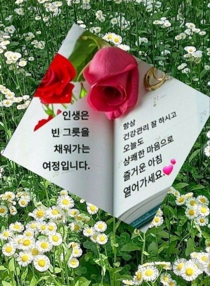 한세상 이미지