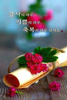 금상첨화 이미지