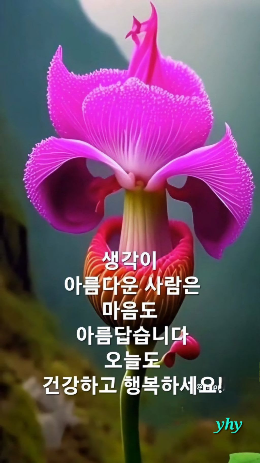 소풍길 이미지