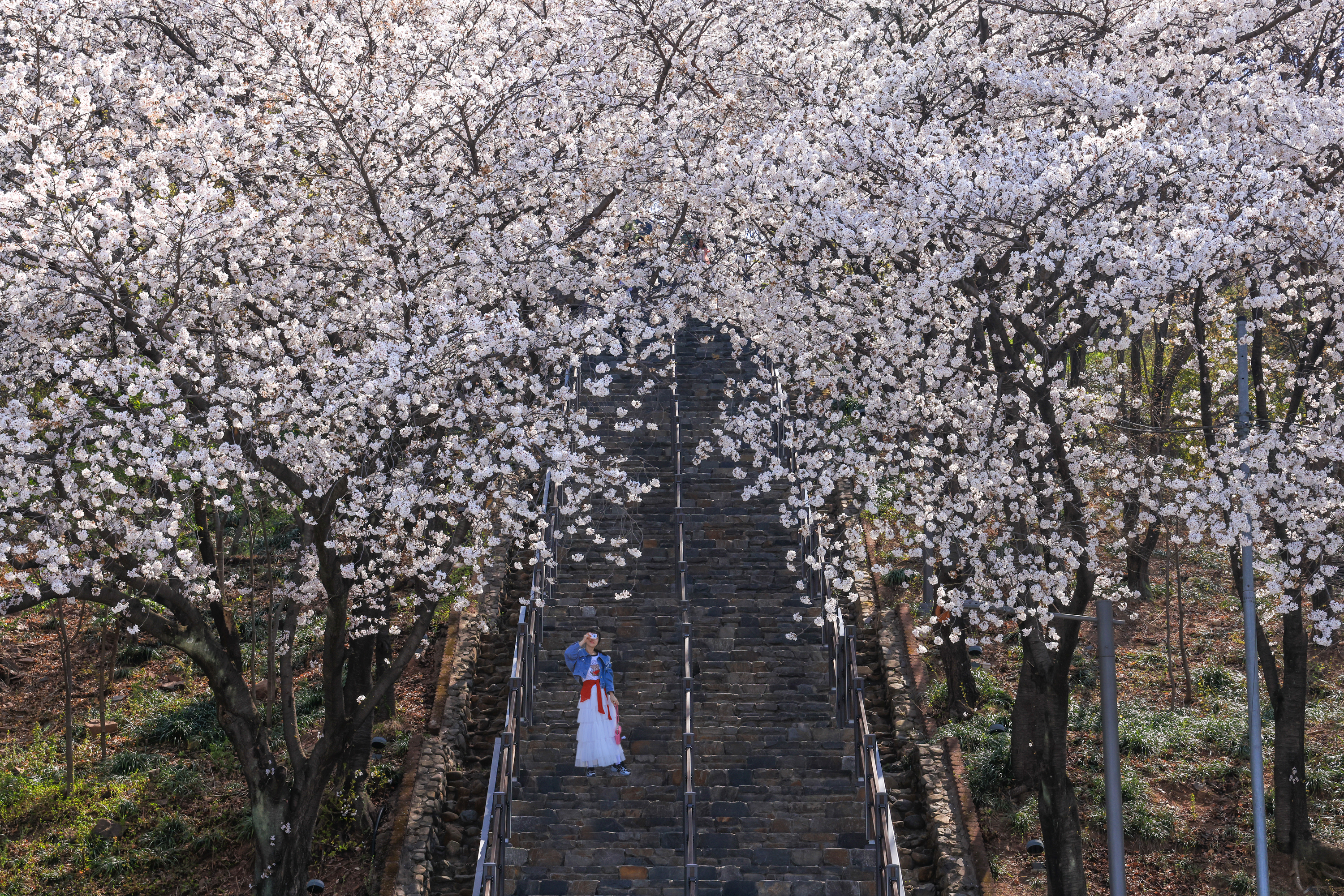 침산공원 이미지