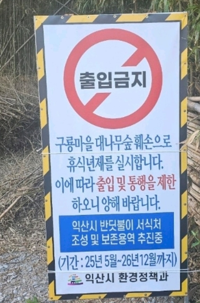 대나무마을 이미지