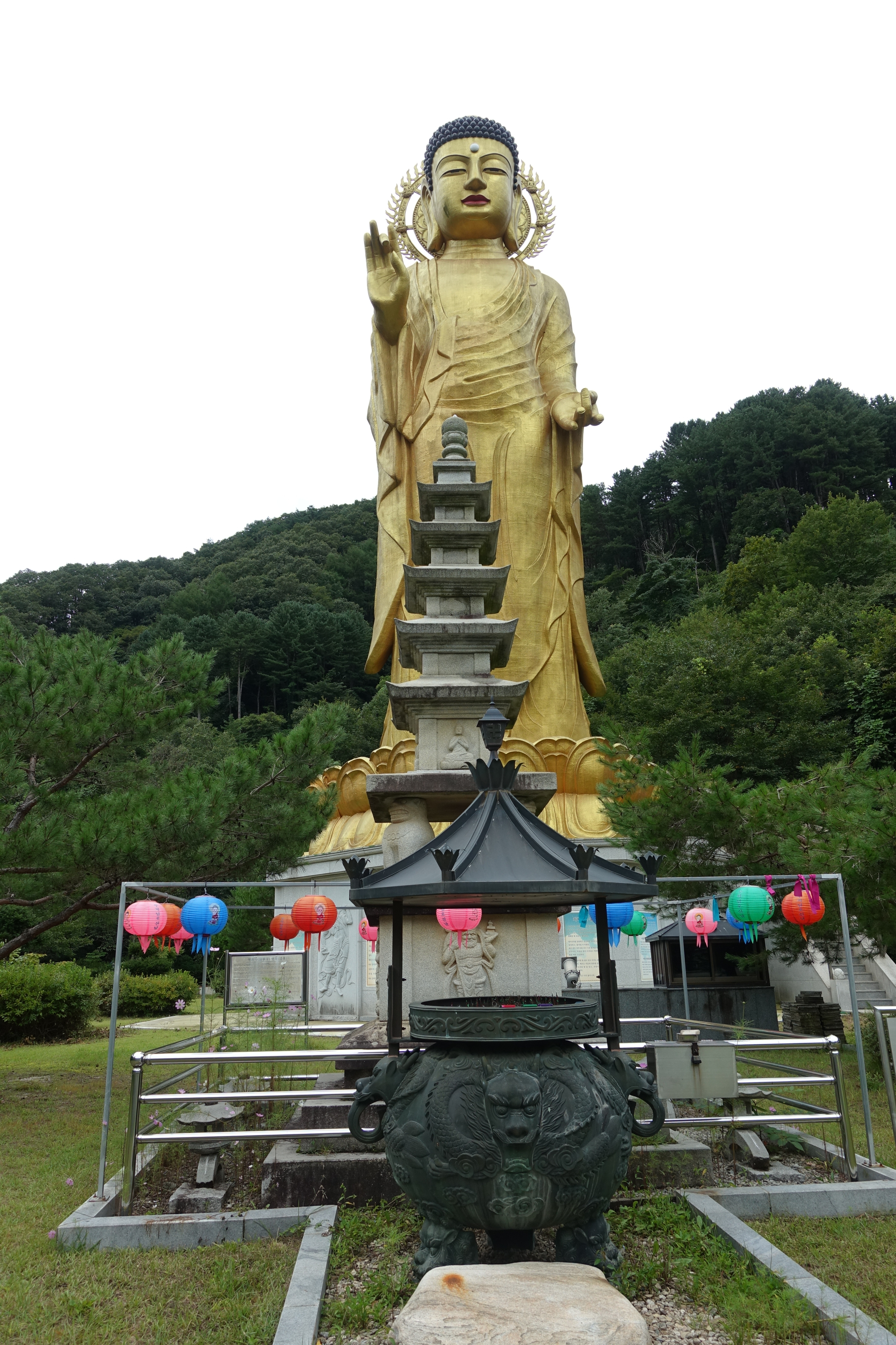 연엽산 이미지