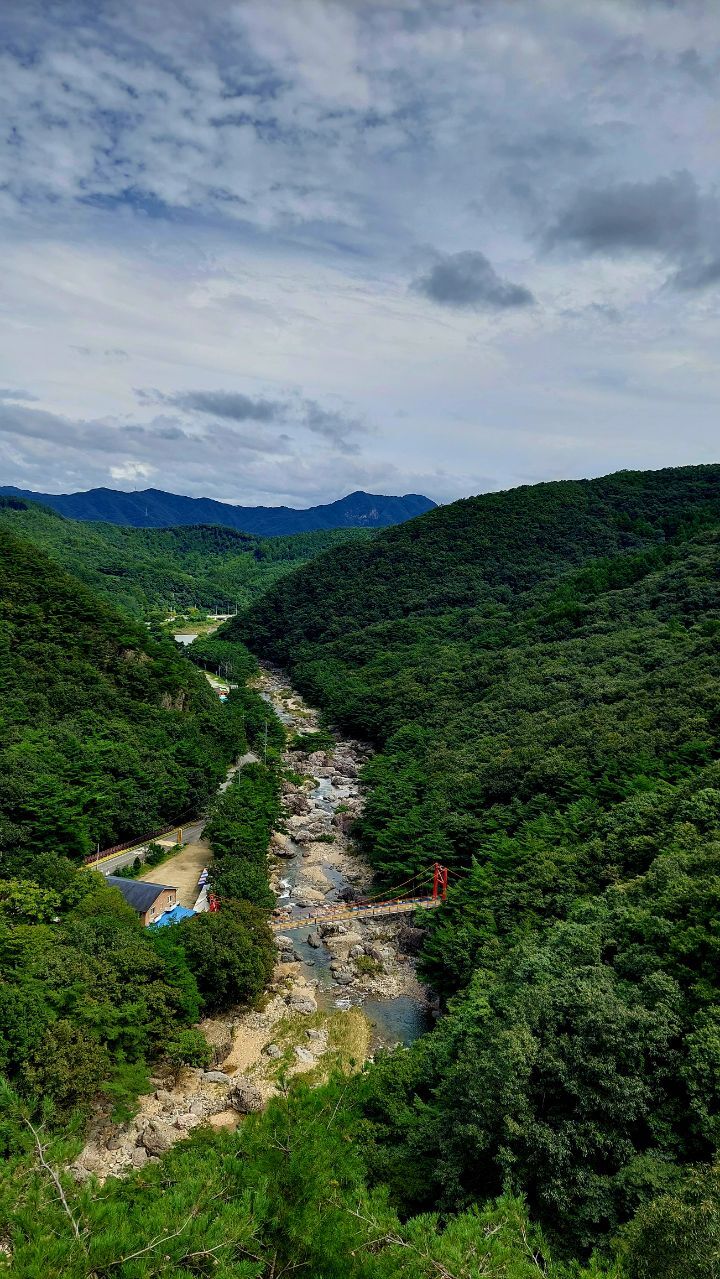 숲길 전경 이미지