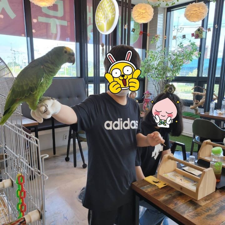 카페오늘 이미지