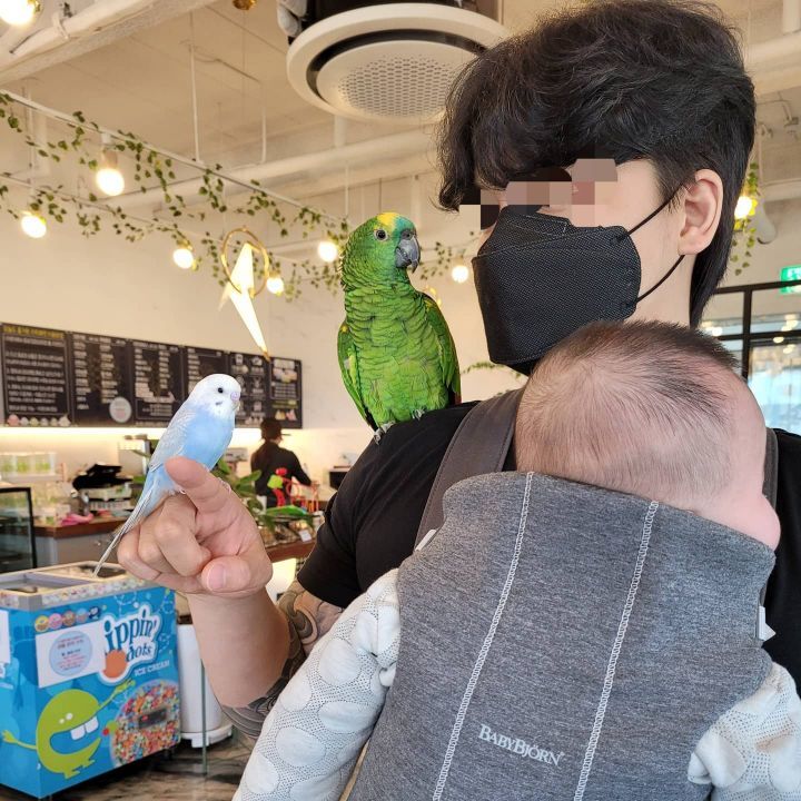 카페오늘 이미지