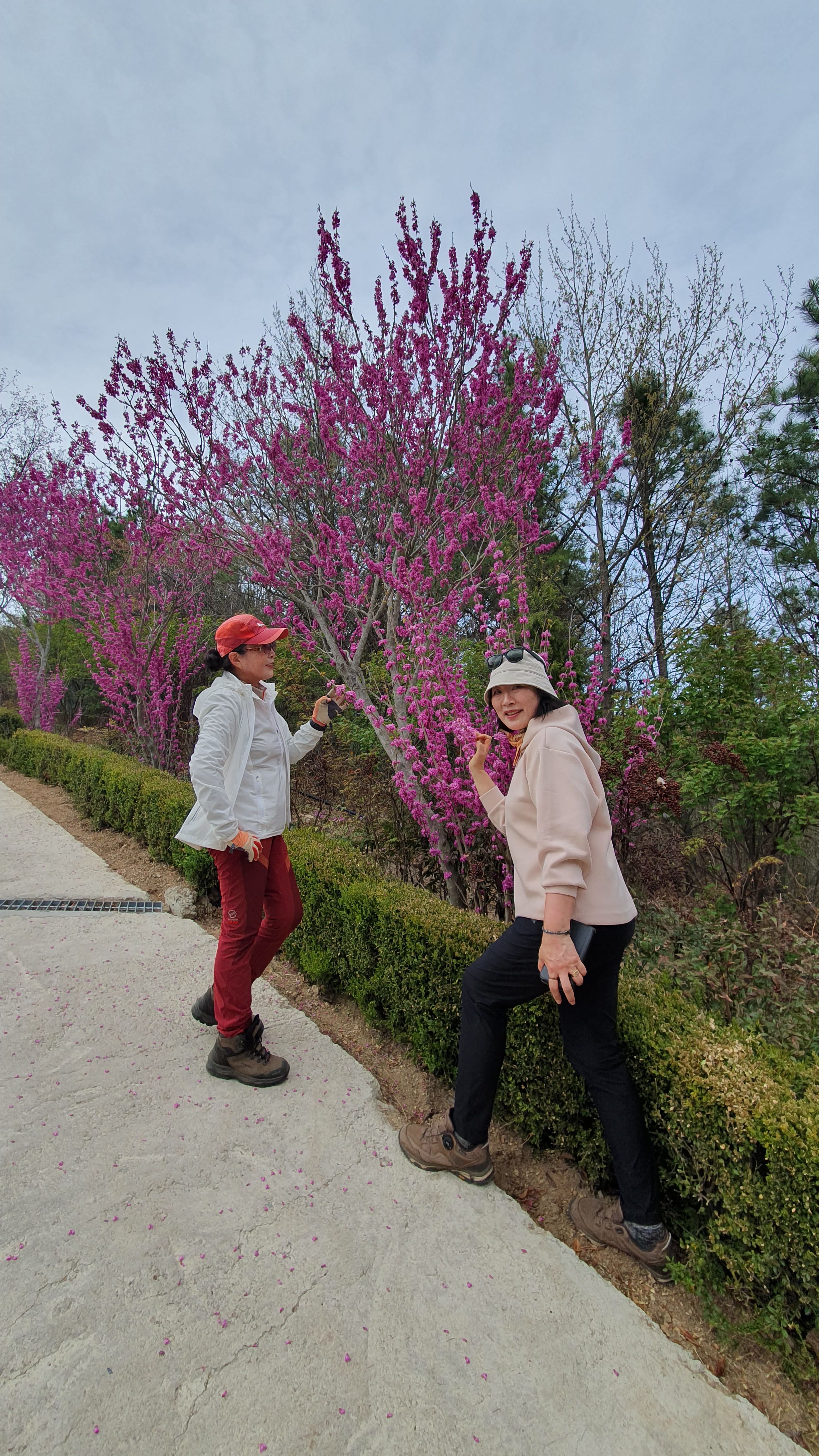 동산잔디 이미지