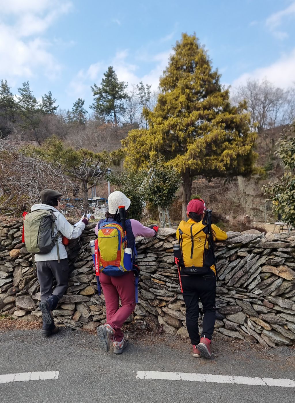 장천초등학교 이미지