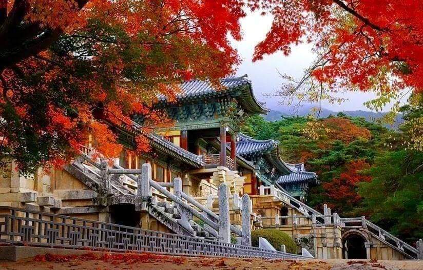 불국사 이미지