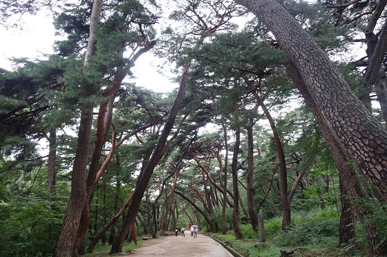 답게 이미지