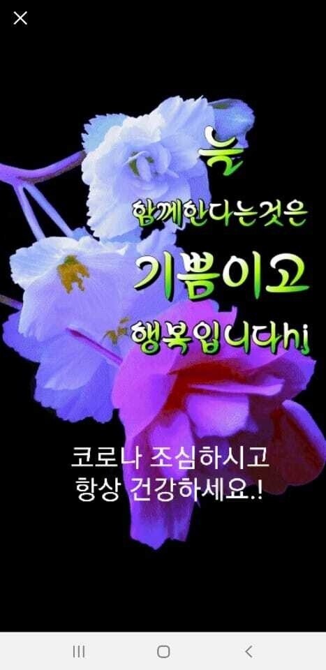 일박이일 이미지