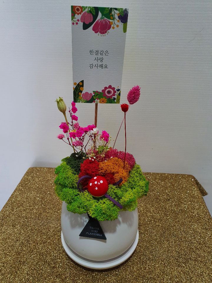 신세계꽃집 이미지