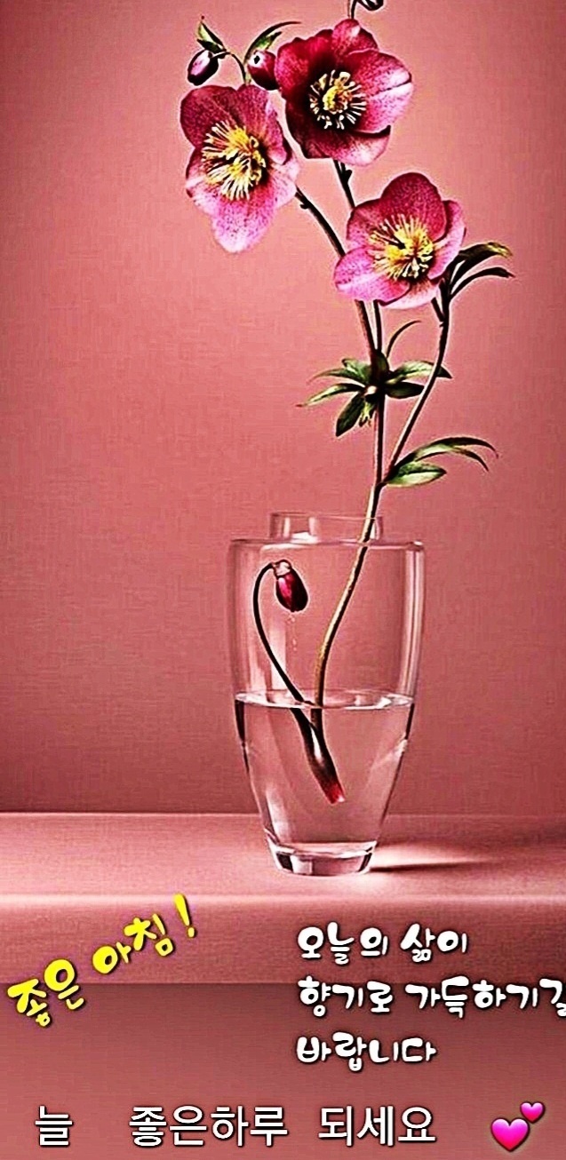 화요일,카톡인사 - ▣-이미지 자료 - 그대가 머문자리