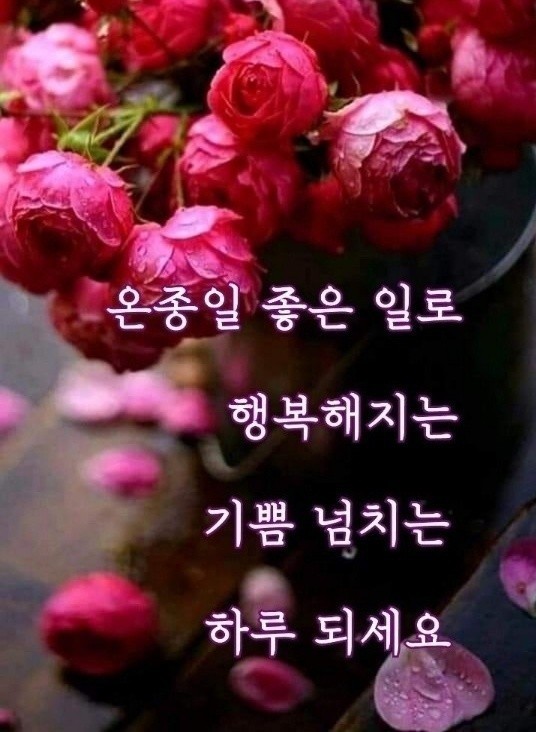 토요일 이미지