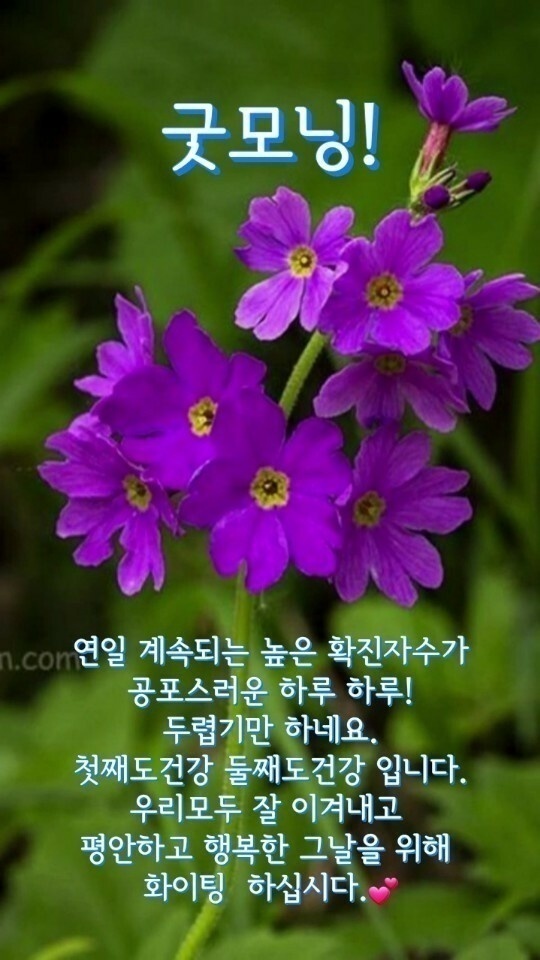 토요일 이미지