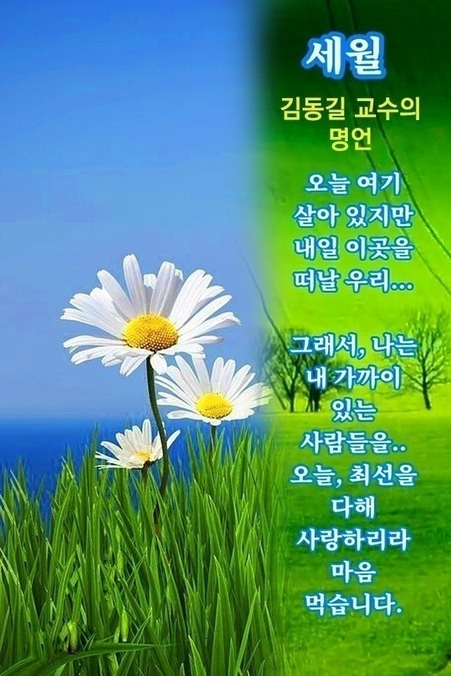 수요일,카톡인사 나눠여 - -이미지 자료 - 그대가 머문자리