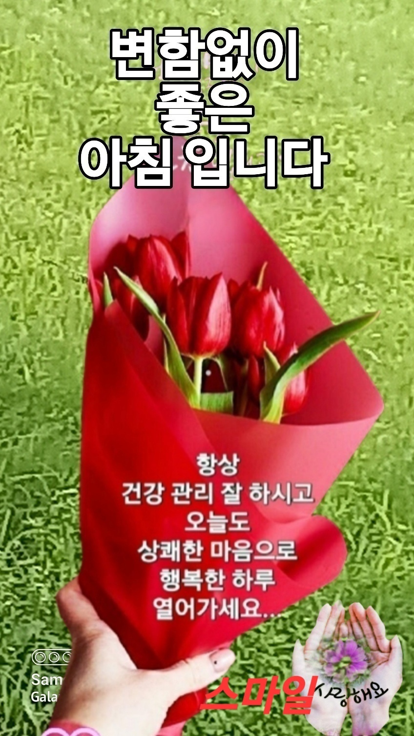 화요일 이미지