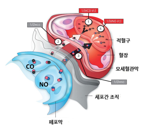 산화 이미지