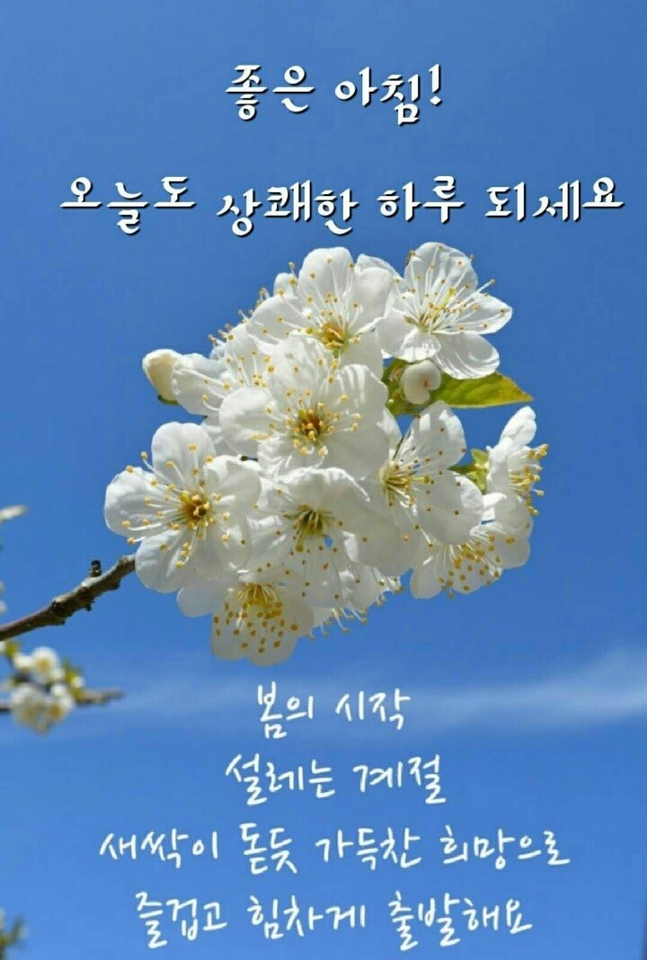 희소식 이미지