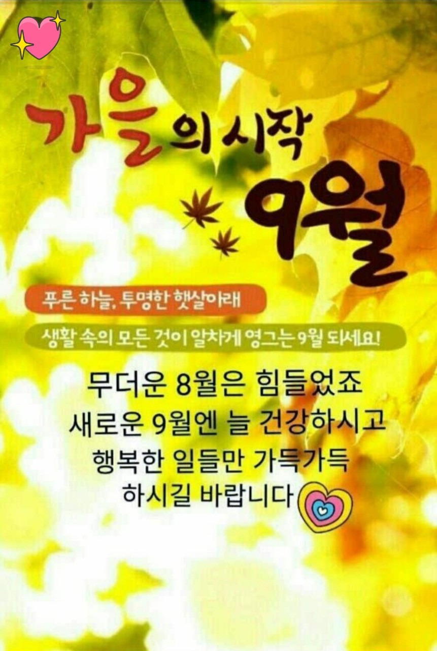 화요일의아침 이미지