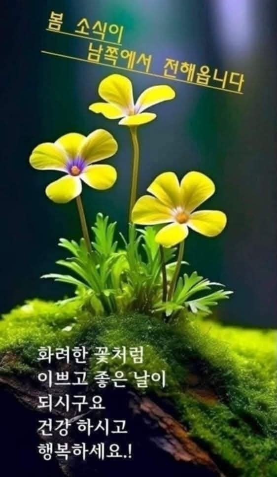 행복미소(주) 이미지