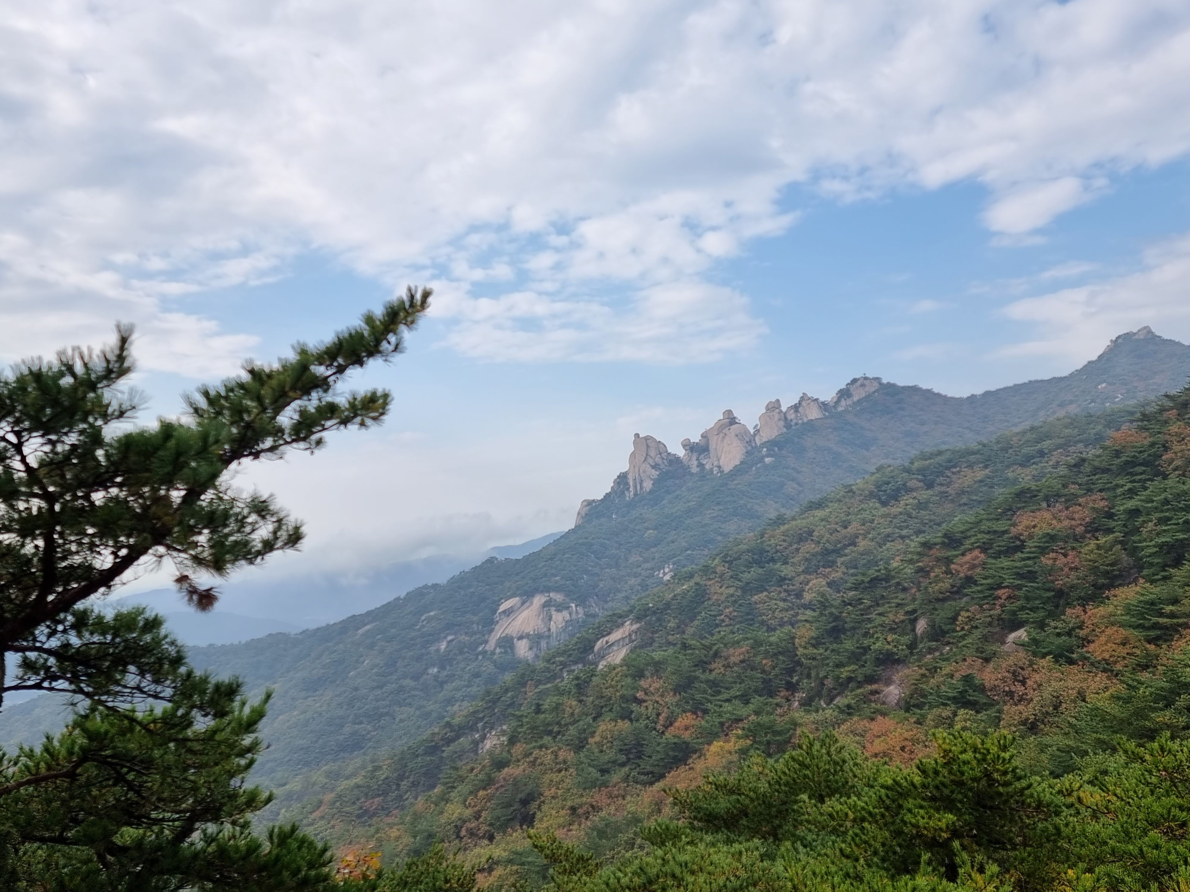 보명 이미지