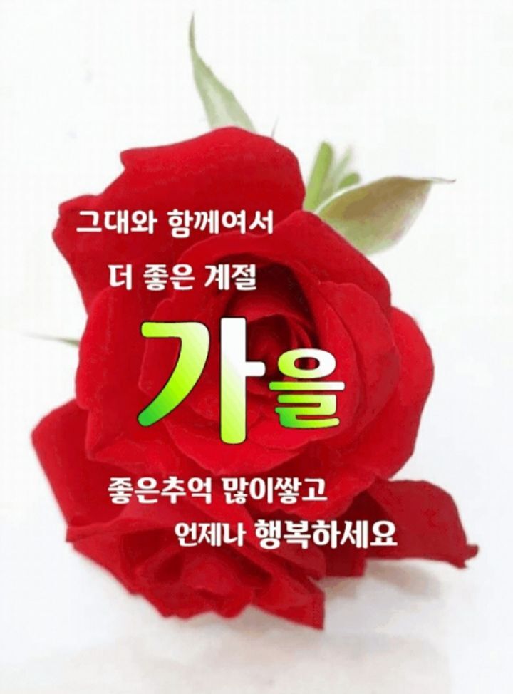 지혜로움 이미지