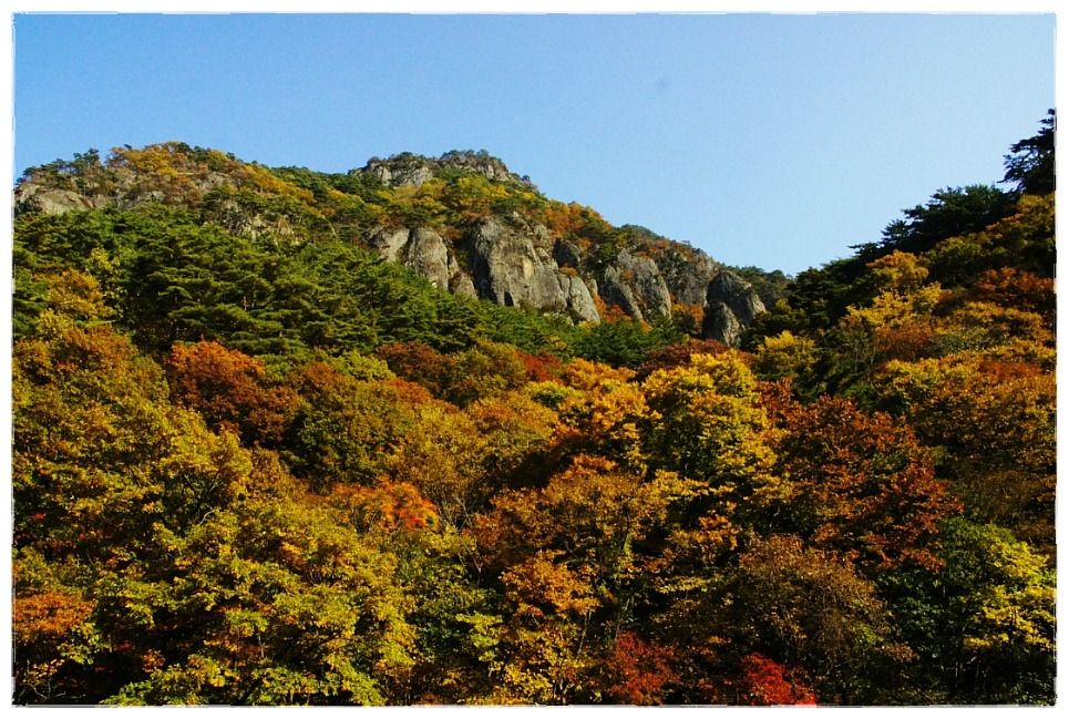 서부탑주유소 이미지