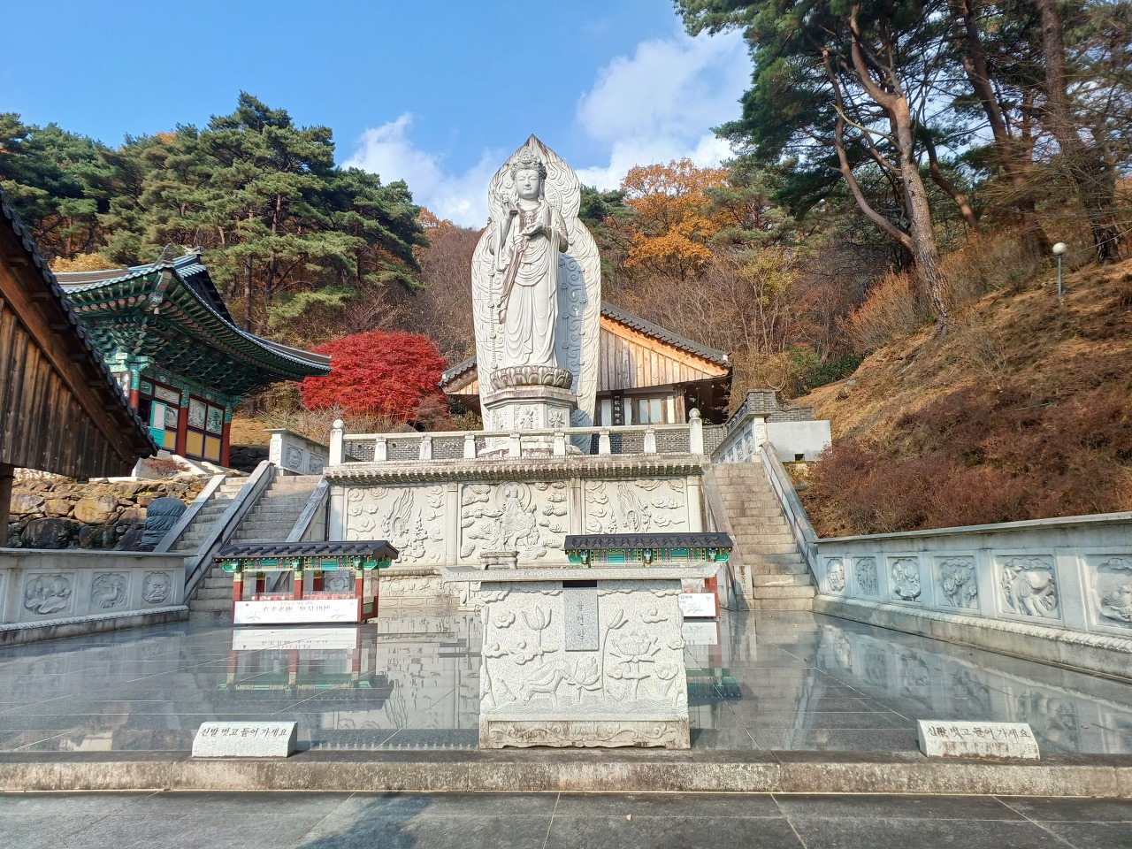 Daum 카페