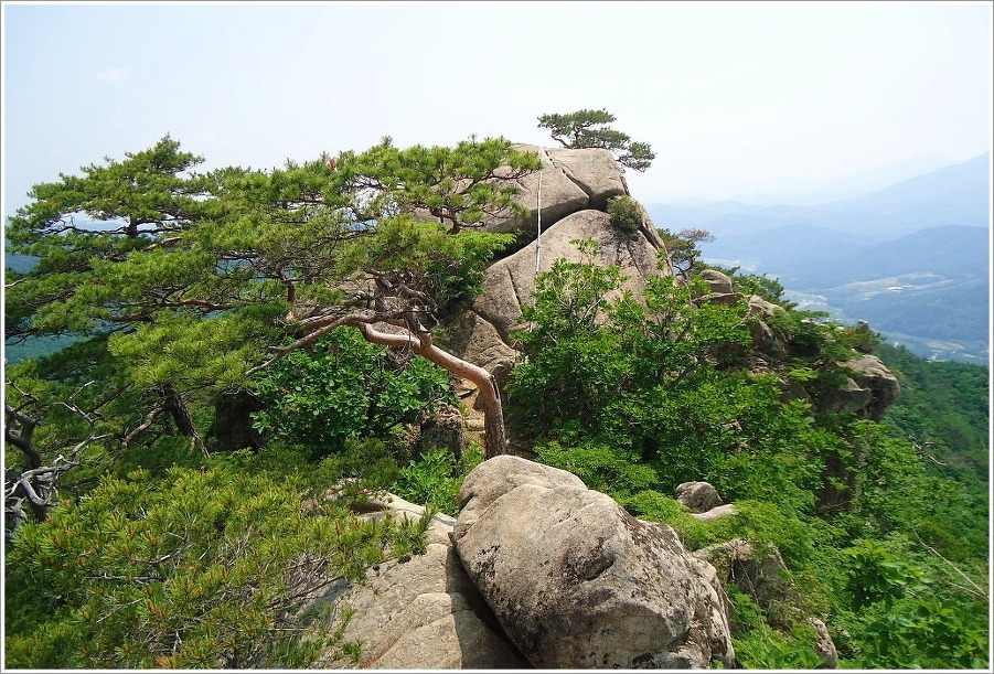 서부탑주유소 이미지
