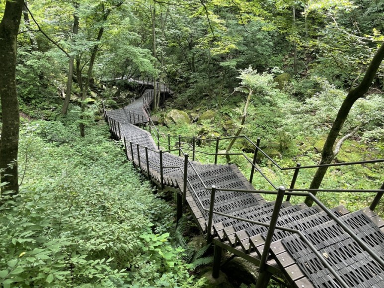 서부탑주유소 이미지