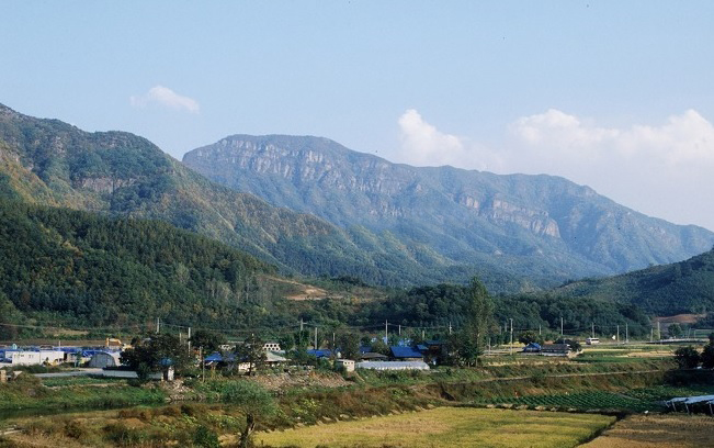서부탑주유소 이미지