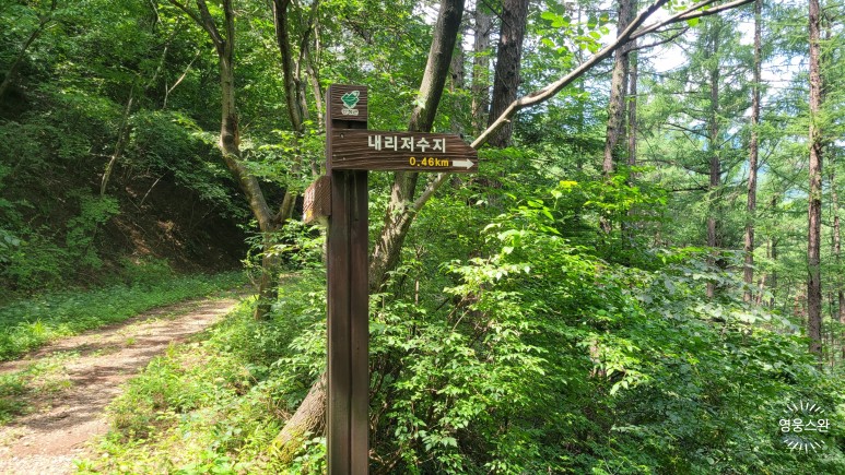 서부탑주유소 이미지