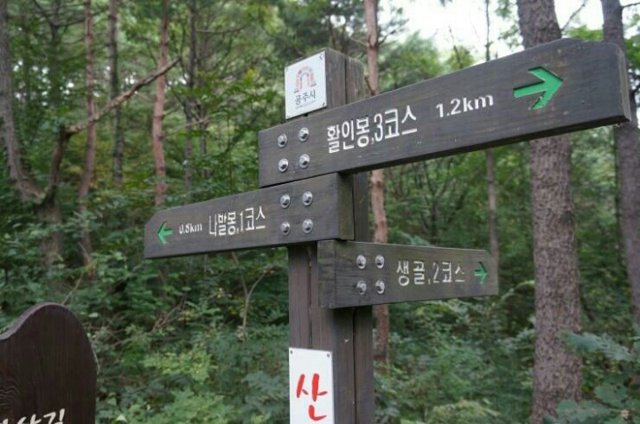 서부탑주유소 이미지