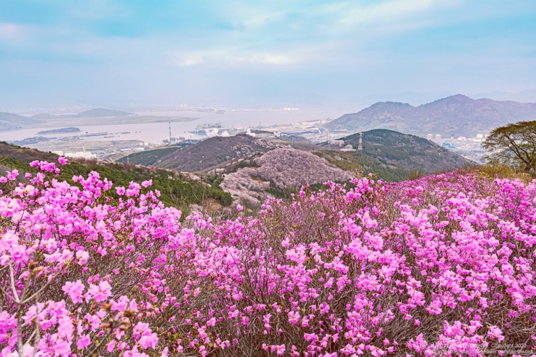 서부탑주유소 이미지