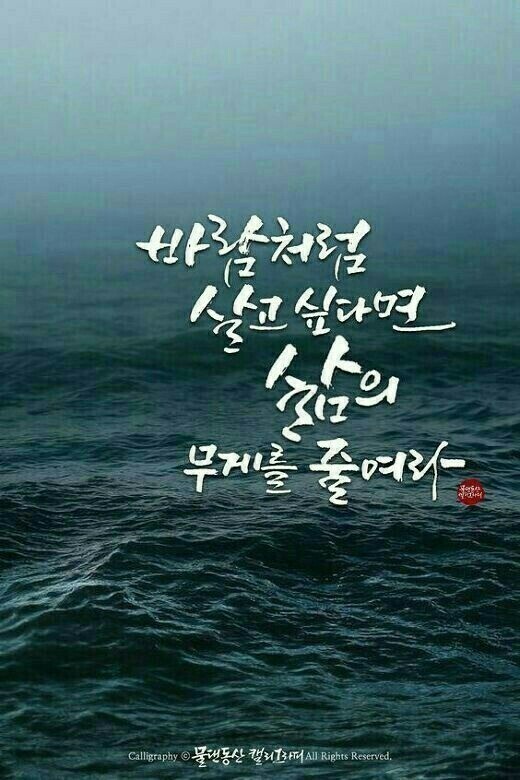 새로나웰빙 이미지