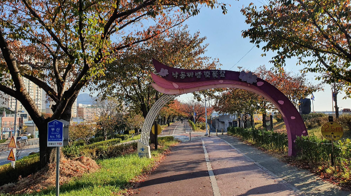 백파 대표 사진