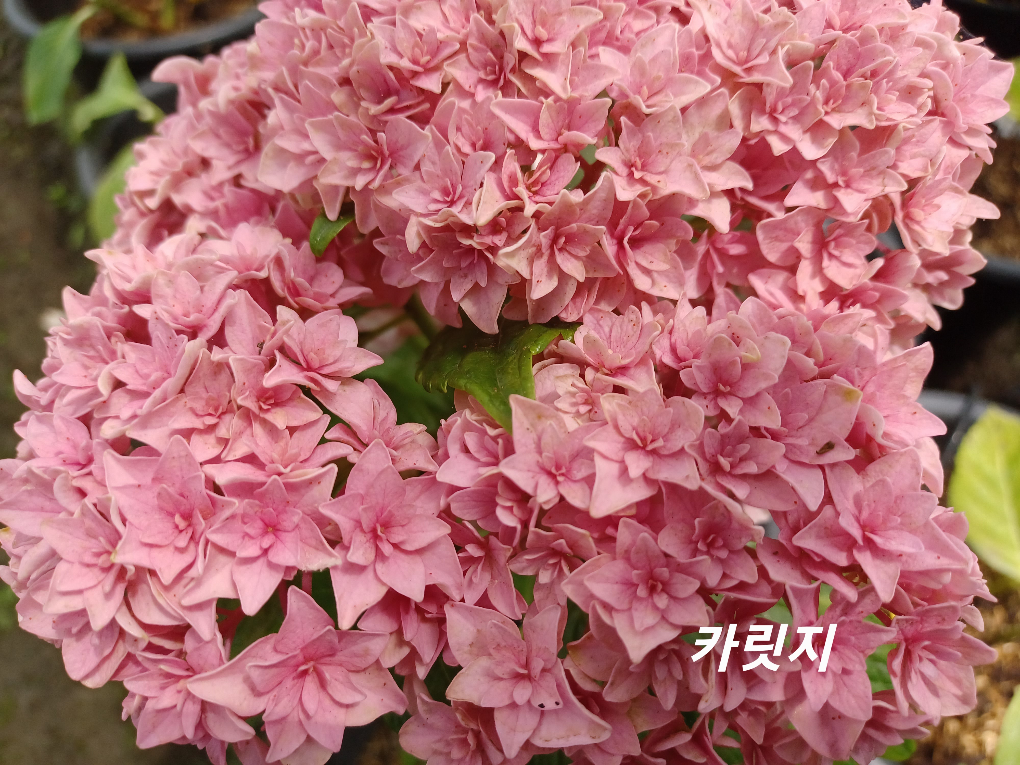 유앤미 이미지