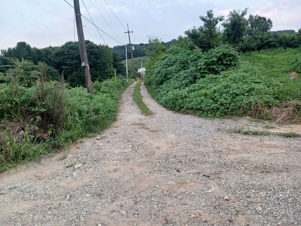 거리 이정표 이미지