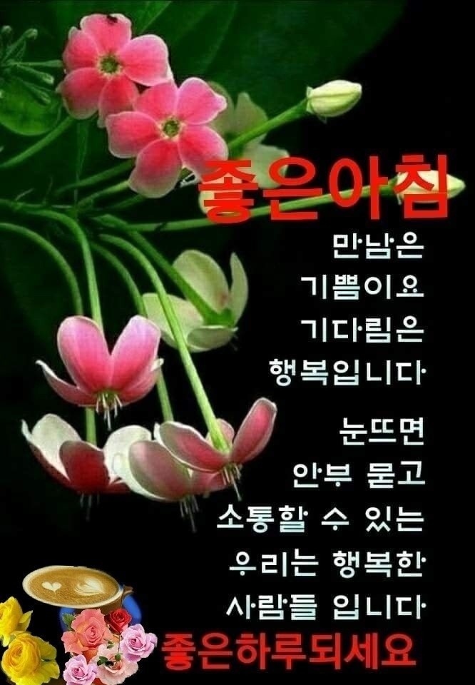 행복보리밥 이미지