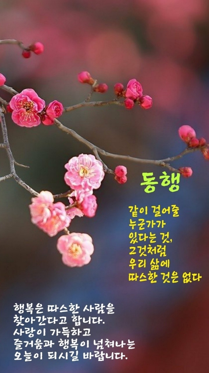 오고가고 이미지