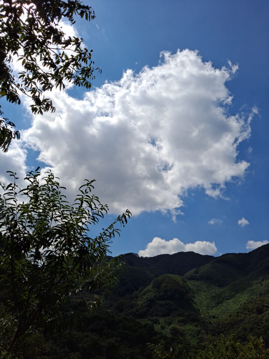(주)정안 이미지