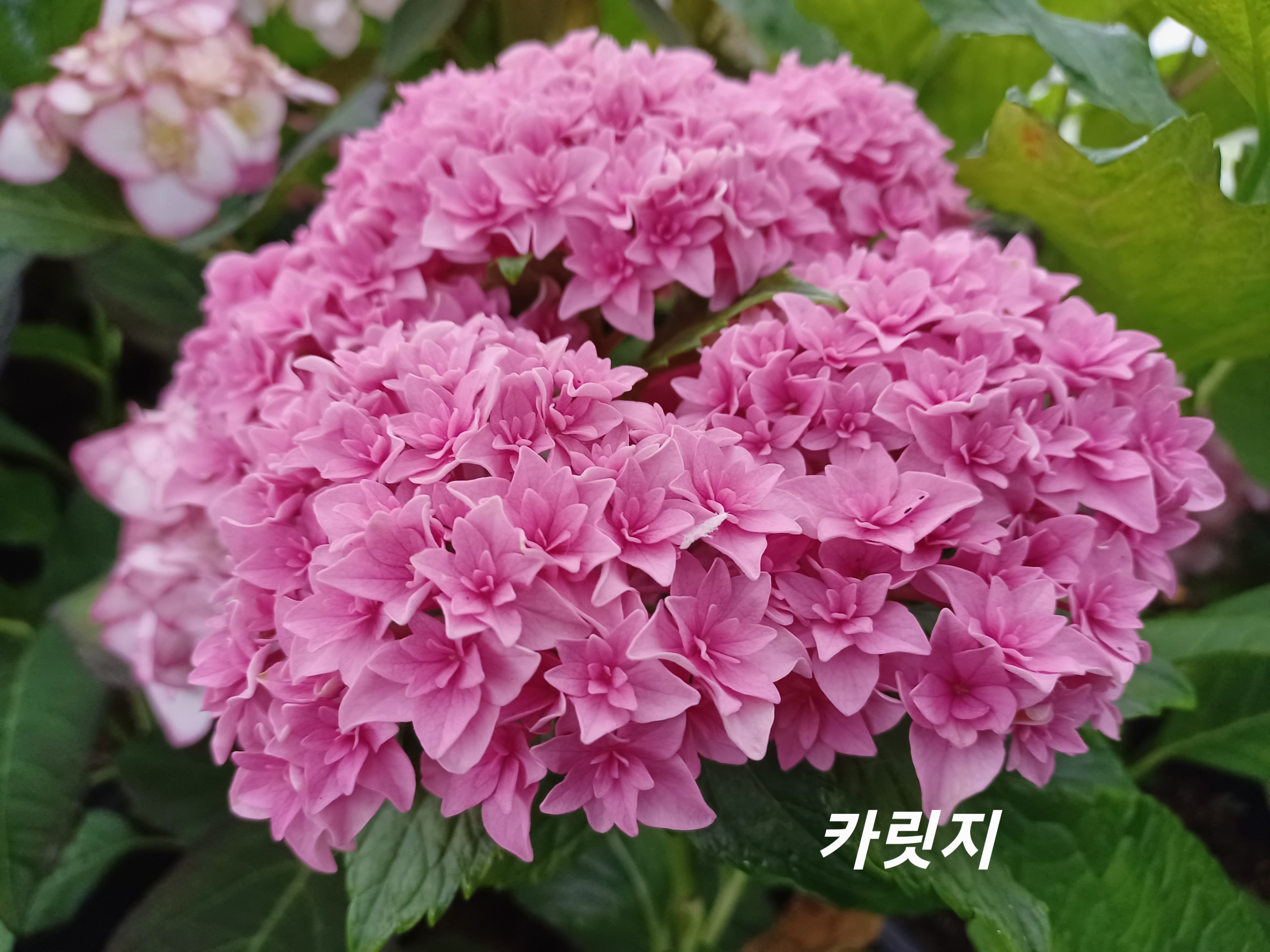 유앤미 이미지