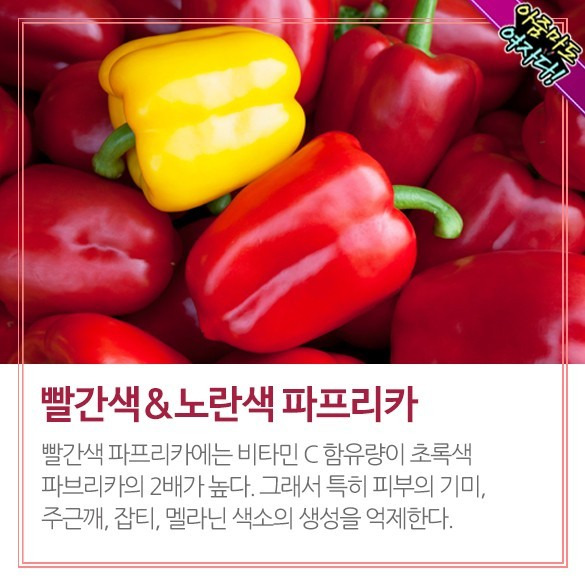 파프리카 이미지