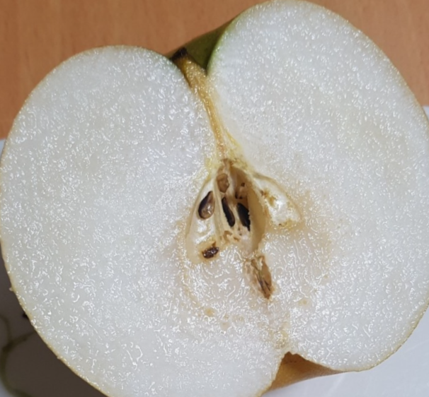화산농업협동조합 이미지