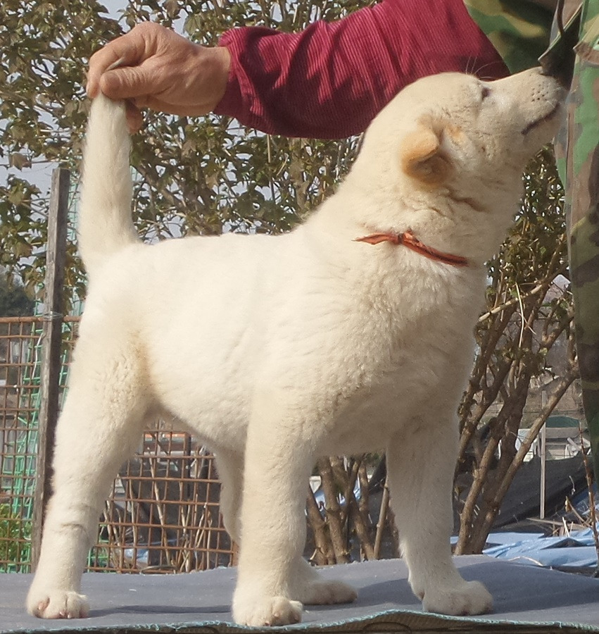보화 이미지