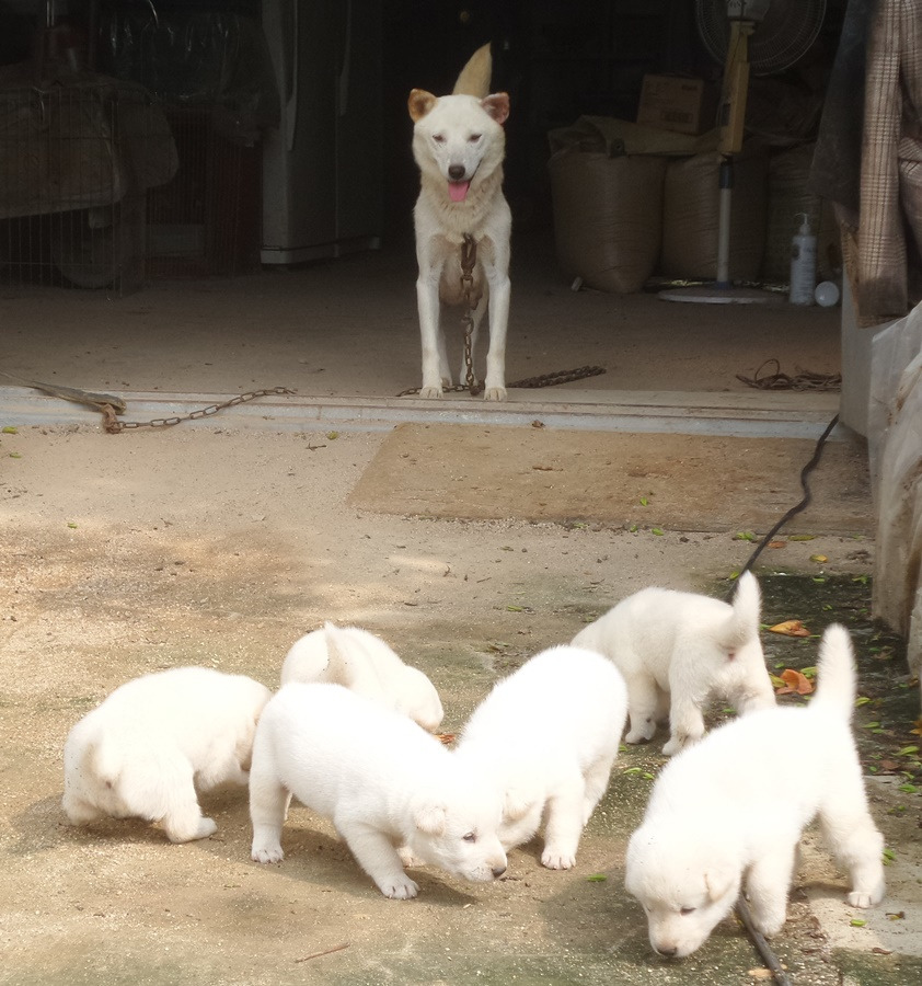 보화 이미지