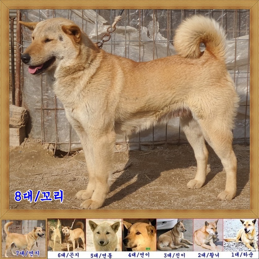 보화 이미지