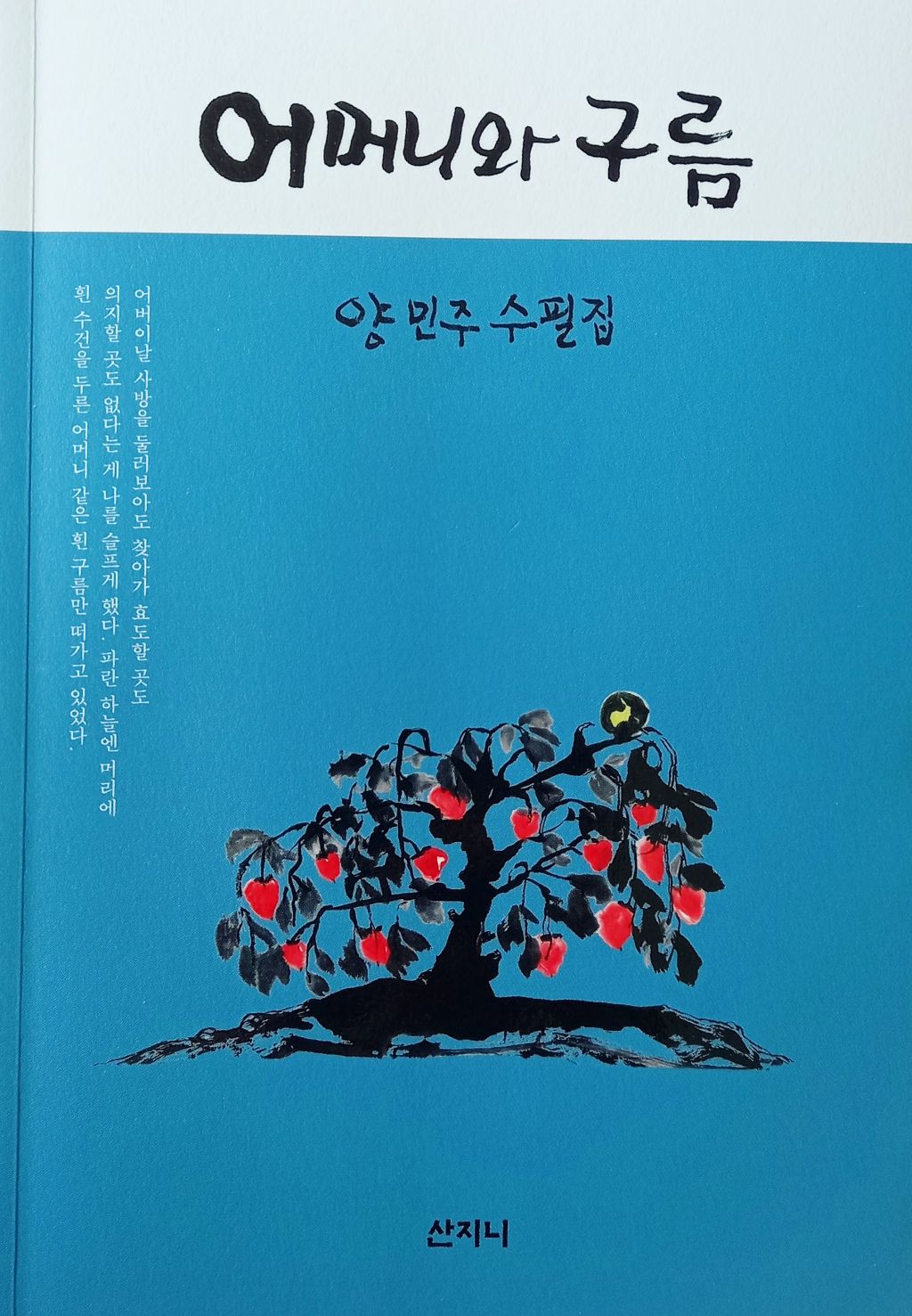 양민주 이미지