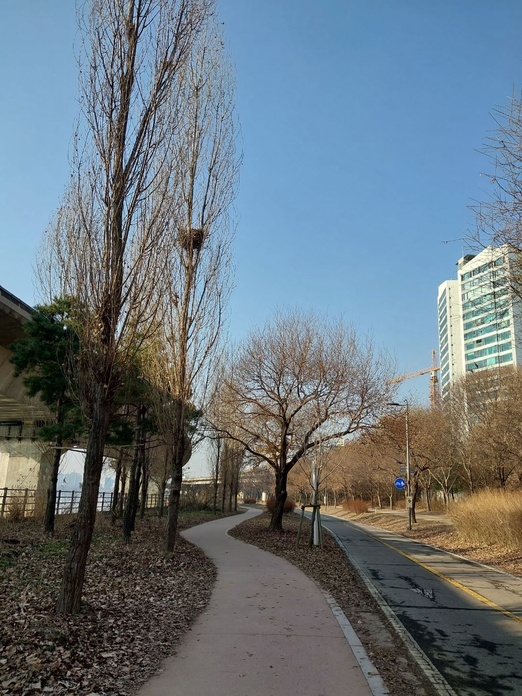 세곡자전거 이미지