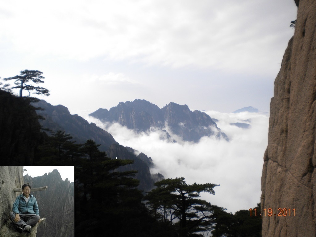 황산흑염소 이미지